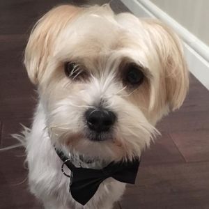 Meet your Posher, Kim